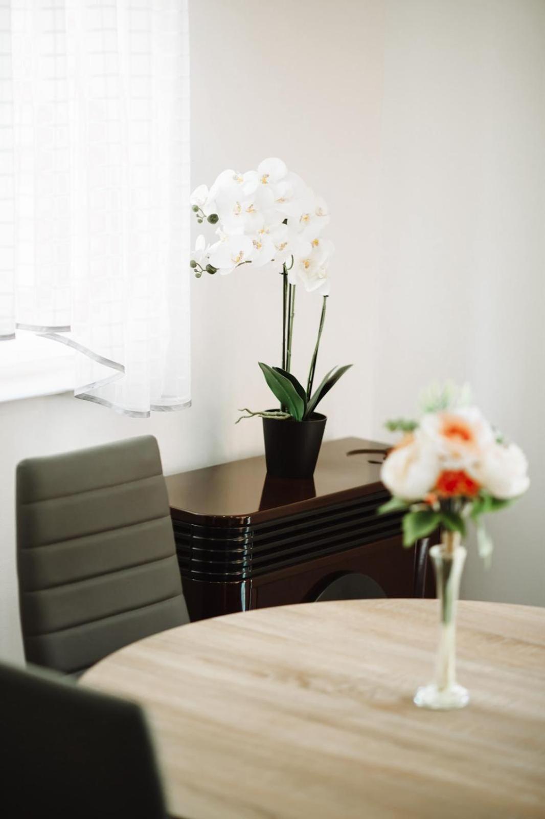 Apartman Sunny Hills Krapina Extérieur photo